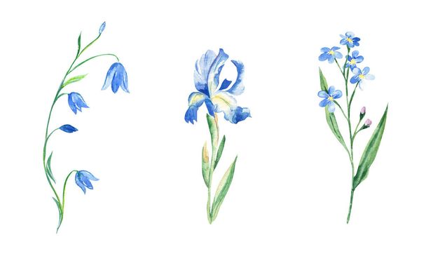 Conjunto de acuarelas de flores azules. Bluebell, Iris, olvidadme. Ilustración botánica dibujada a mano aislada sobre fondo blanco. Se puede utilizar para pegatinas, tarjetas, impresiones farbic, diseño de envases cosméticos - Foto, imagen