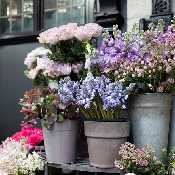 square format. A variety of colors near the flower shop in London. Large bouquets in tin vases in blue and violet tones - 写真・画像