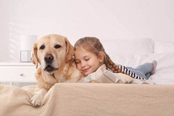Young girl with her adorable dog on bed at home - Foto, Imagen
