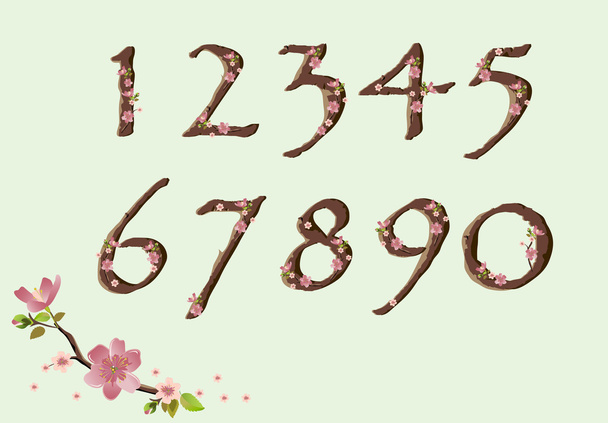Cherry blossom font digits - Vector, afbeelding