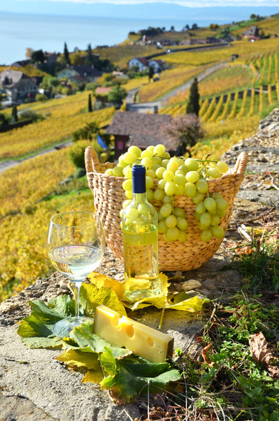 şarap ve üzüm İsviçre - Fotoğraf, Görsel