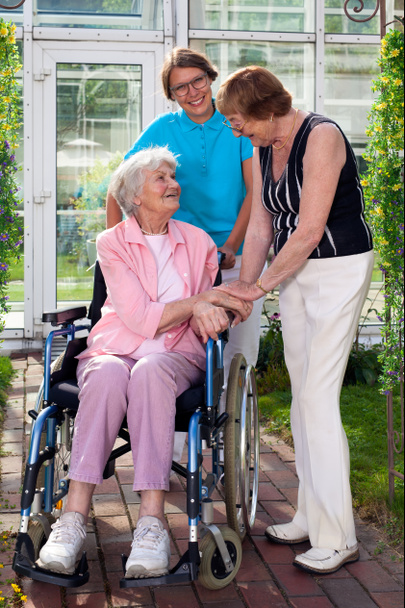 Takers opieki i pacjenta na wózku inwalidzkim - Zdjęcie, obraz
