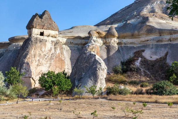 GOREME, TURKEY - 4 ΟΚΤΩΒΡΙΟΥ 2020: Αυτοί είναι οι φανταστικοί βράχοι στην Κοιλάδα των Μοναχών (Κοιλάδα Πασάμπα) στην Καππαδοκία. - Φωτογραφία, εικόνα