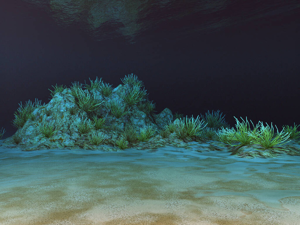 Paisaje submarino con corales
 - Foto, imagen