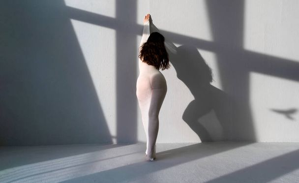 σέξι νεαρή γυμνή γυναίκα σε λευκό διαφανές βαμβακερό φόρεμα κάλτσα ως ένα σύγχρονο ζωντανό γλυπτό μεταξύ του ήλιου και της σκιάς, στο στούντιο καλλιτεχνών, αντίγραφο χώρο - Φωτογραφία, εικόνα