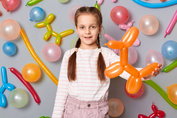 Smiling child. Birthday party. Delighted satisfied little girl with braids standing against gray wall decorated with colorful balloons, looking at camera, being in festive mood. - Фото, зображення