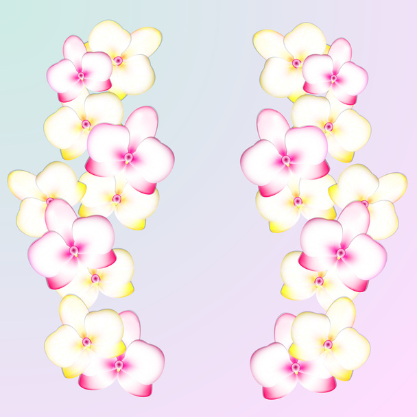 現実的な蘭の花の図 - ベクター画像