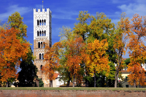 Lucca, torre del Duomo di San Martino - Valokuva, kuva