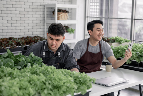 Vendor sell veggies online via live streaming by giving client information and answering questions about freshness, price, and availability. Attentiveness, commitment, and trust of small businesses. - Foto, Imagen