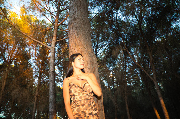 bela jovem da América do Sul apoiando-se em uma árvore na floresta na hora de ouro. Raios de luz solar entram pelas árvores no outono e criam atmosfera dourada. - Foto, Imagem