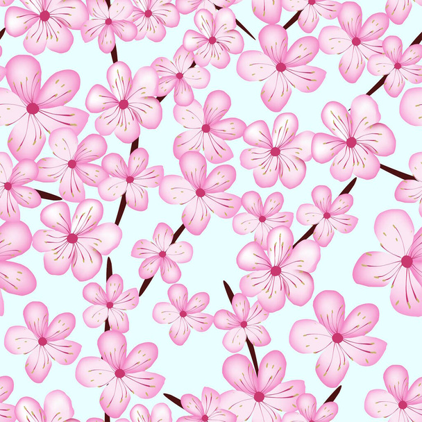 Cherry flower spring blossom  - Вектор,изображение