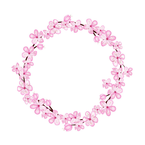 Sakura cseresznyevirág virág a tűréshatár kialakításához.Kör sérelem kártya vagy meghívók - Vektor, kép