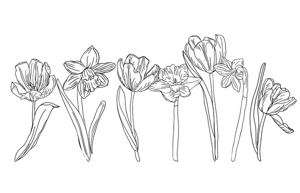 春のラインアートの花、白い背景に隔離された本を着色するためのイースターデザイン. - ベクター画像