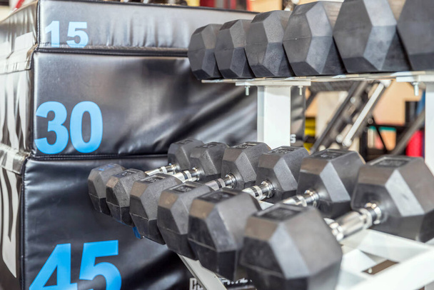 Row of Hand Barbells weight training equipment. Concept of health. - Photo, Image