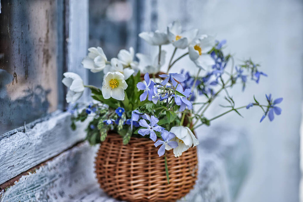 Bouquet di legno anemone, Phlox divaricata, pozzetto strisciante in un cesto sul davanzale vicino alla vecchia finestra - Foto, immagini