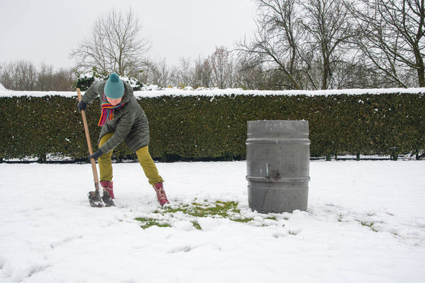 una mujer de mediana edad está recogiendo nieve en un barril con una pala. Para regar aún más las plantas en un invernadero, el concepto de proteger el medio ambiente y conservar los recursos naturales - Foto, imagen