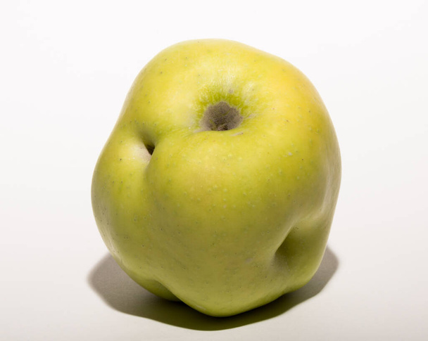 Άσχημο μεταλλαγμένο μήλο. Ο καρπός είναι κίτρινος σε λευκό φόντο. - Φωτογραφία, εικόνα