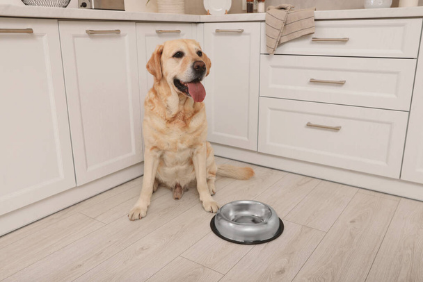 Cute Labrador Retriever waiting near feeding bowl on floor indoors - Foto, afbeelding