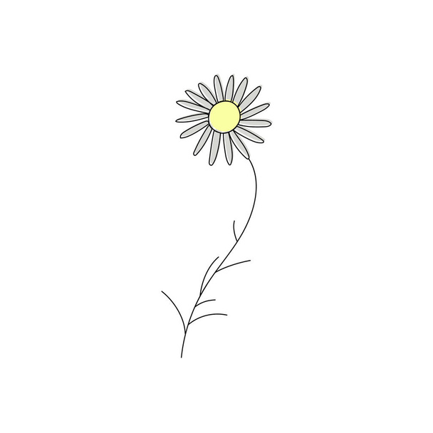 disegno vettoriale fiore di camomilla, elemento floreale, illustrazione botanica disegnata a mano - Vettoriali, immagini