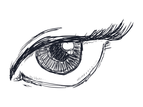 Ícone dos olhos  - Vetor, Imagem