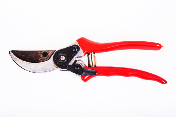 Red garden secateurs isolated on a white background - Photo, Image