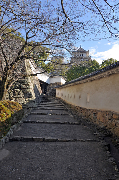 Castillo de Himeji, Japón
 - Foto, imagen