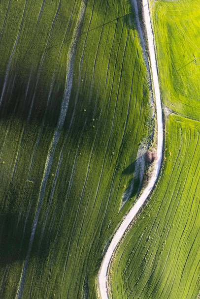 Documentazione fotografica aerea del colore verde di un campo in primavera - Foto, immagini