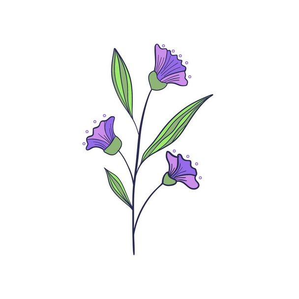Hermosa flor princesa púrpura o tibouchina urvilleana y hoja sobre fondo blanco. Conjunto vectorial de flores florecientes para invitaciones de boda y diseño de tarjetas de felicitación. - Vector, Imagen