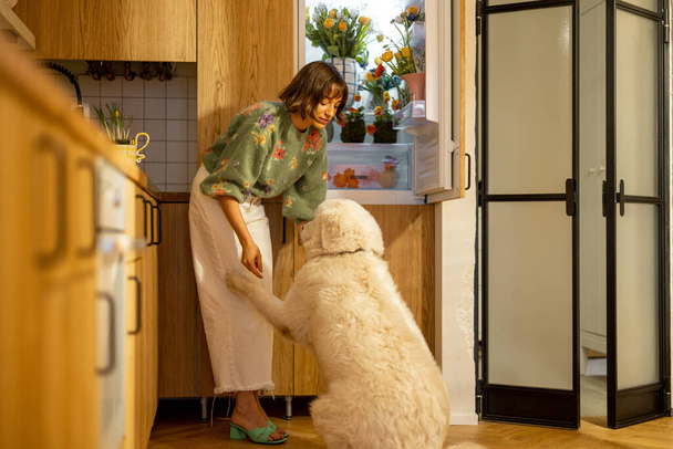 Nette Frau mit Hund schaut in einen Kühlschrank voller frischer Blumen auf der heimischen Küche. Konzept von Schönheit, Hausstil und Freundschaft mit Haustieren - Foto, Bild