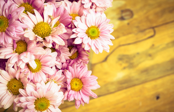Pink daisy over wood background - Photo, Image