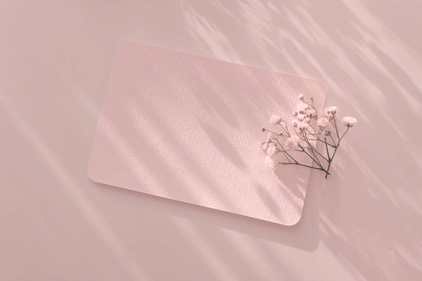 Smoke Empty Blank texture canvas paper card and flower. Light and shadows minimalism style template background. Pink Beige color tone. - Fotó, kép