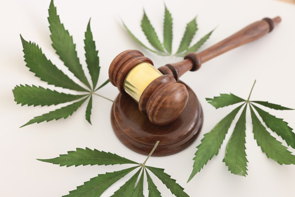 Wooden gavel of judge lies on sound block surrounded by green cannabis leaves on white table. Judgement on illegal use of marijuana drugs - Photo, Image