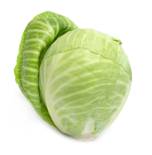 One cabbage head - Zdjęcie, obraz