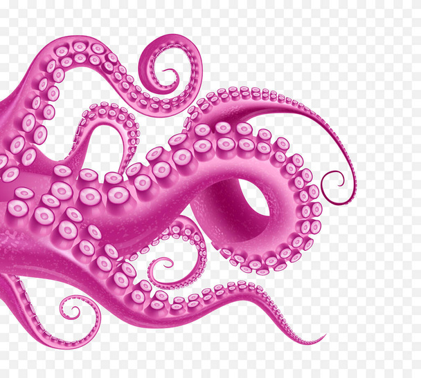 Abstract transparante achtergrond met fragment van reusachtig zeemonster als octopus of kraken realistische vector illustratie - Vector, afbeelding