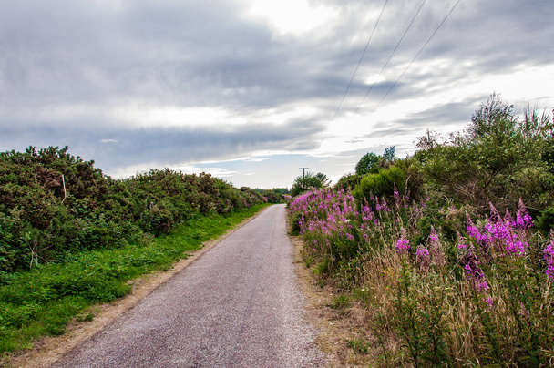 bela paisagem na Escócia, cheio de vegetação, lugar ideal para férias de verão - Foto, Imagem