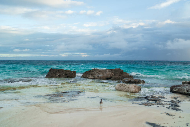 La costa del Mar Caribe con arena blanca y rocas en Cancún
. - Foto, Imagen