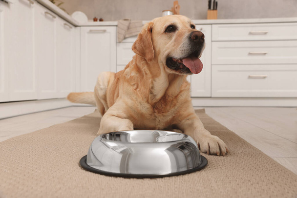 Cute Labrador Retriever waiting near feeding bowl on floor in kitchen - Фото, изображение