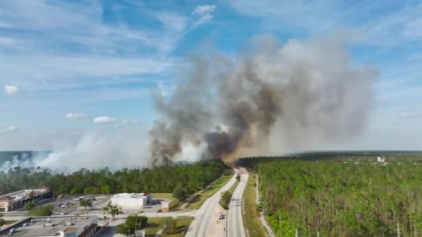 Повітряний вид на сильну пожежу, що горить у місті Північний Порт, штат Флорида. Стихійне лихо в сухий сезон.. - Кадри, відео