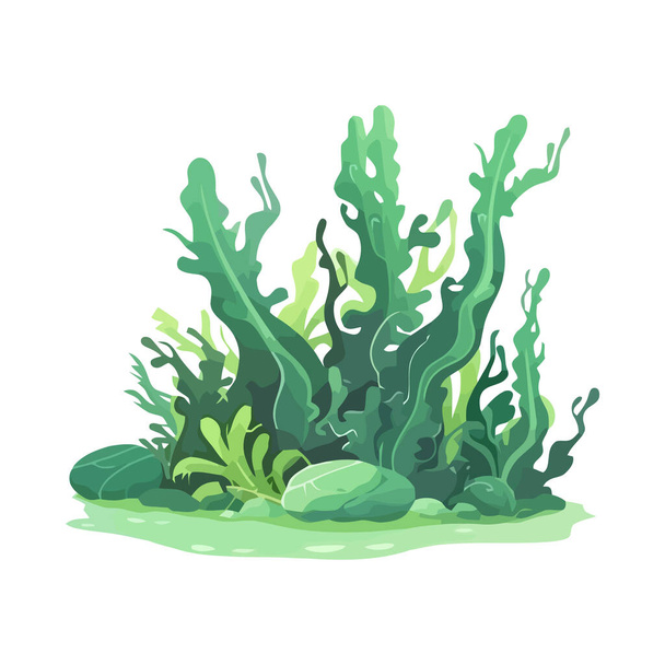 Seaweed isolated Free Stock Vectors