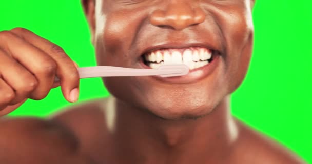 Fekete férfi, száj és fogkefe, fogmosás a zöld képernyőn higiéniával és szájhigiéniával a fogápoláshoz. Boldog férfi, közelkép és reggeli rutin takarítás és ápolás stúdió háttér. - Felvétel, videó