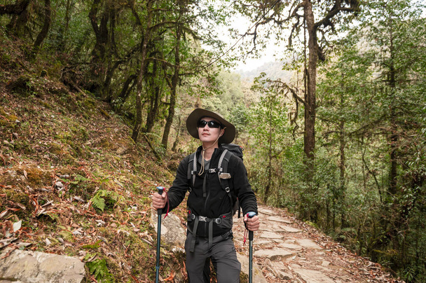 A young traveller trekking on forest trail , Nepal - Foto, immagini