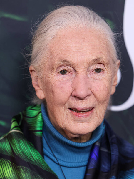 Dr. Jane Goodall arrives at the Los Angeles Premiere Of Apple TV+ Original Series 'Jane' Season 1 held at the California Science Center on April 14, 2023 in Los Angeles - Photo, Image