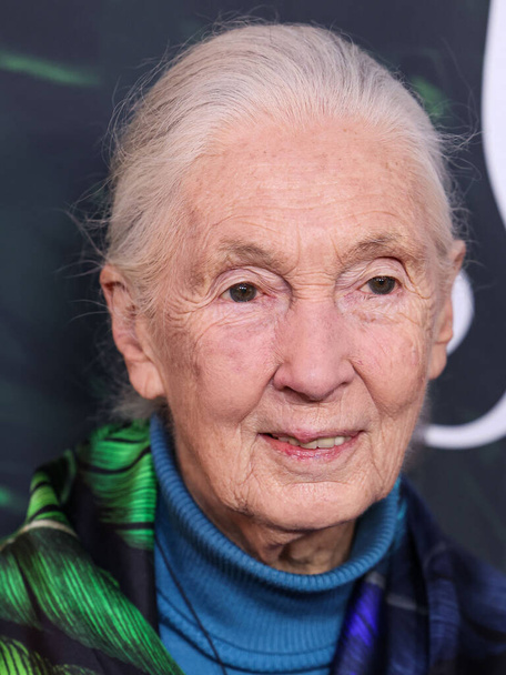 Dr. Jane Goodall arrives at the Los Angeles Premiere Of Apple TV+ Original Series 'Jane' Season 1 held at the California Science Center on April 14, 2023 in Los Angeles - Fotoğraf, Görsel