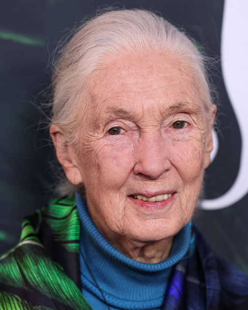 Dr. Jane Goodall arriva alla premiere di Los Angeles di Apple TV + Original Series 'Jane' Stagione 1 tenutasi presso il California Science Center il 14 aprile 2023 a Los Angeles - Foto, immagini