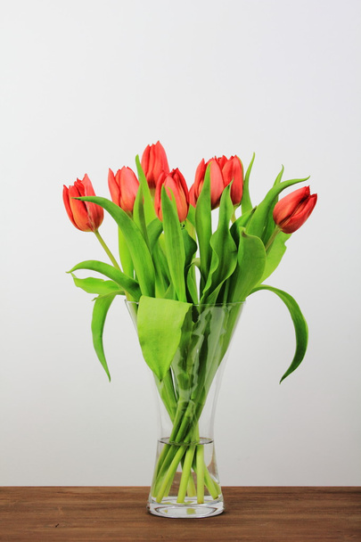 Red tulips - Fotó, kép