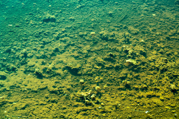 загрязненное мертвое морское дно без малейшей жизни
 - Фото, изображение
