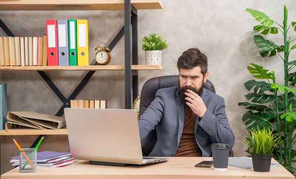 concentrated bearded businessman work on laptop in the office, professional occupation. - 写真・画像