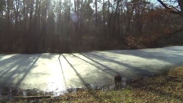 donmuş nehir ahşap. Hava - Video, Çekim