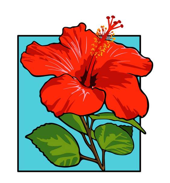 Flor aislada (hibisco) con ilustración de vectores de hojas. - Vector, Imagen