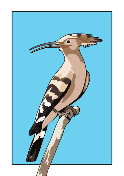 solated bird (hoopoe) on blue background vector illustration. - Vector, Image